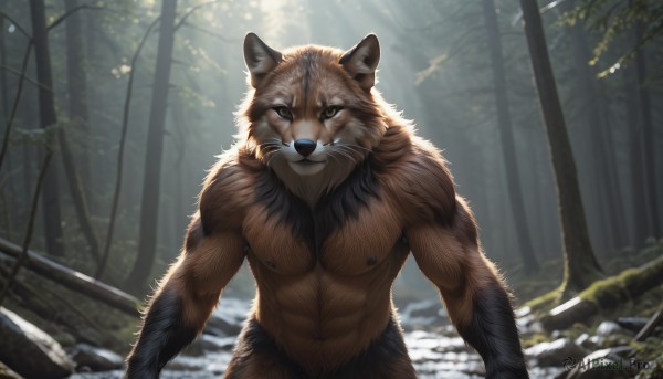 solo,looking at viewer,1boy,brown eyes,nipples,male focus,outdoors,day,blurry,tree,no humans,muscular,blurry background,animal,abs,sunlight,pectorals,muscular male,nature,bara,furry,forest,large pectorals,realistic,furry male,white fur,chest hair,brown fur,navel,closed mouth,upper body,wolf