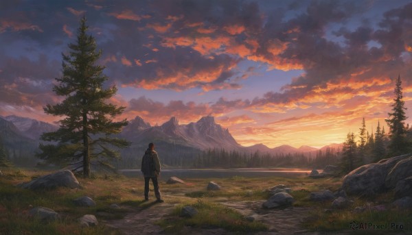 The wonder of a male in a bold sunset outdoors