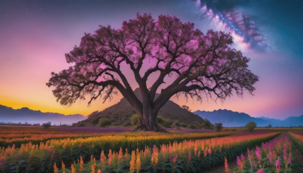 flower, outdoors, sky, cloud, tree, no humans, night, grass, star (sky), night sky, scenery, starry sky, sunset, mountain, field, twilight, landscape, gradient sky, purple sky