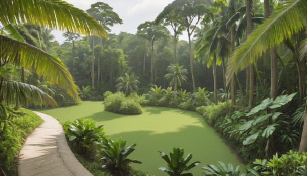 A vibrant landscape captured in day