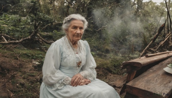 1girl,solo,looking at viewer,long sleeves,dress,jewelry,sitting,closed mouth,white hair,grey hair,outdoors,necklace,white dress,tree,table,own hands together,nature,forest,realistic,old,old man,old woman,wrinkled skin,smile,sunlight,ring,light rays,fine art parody