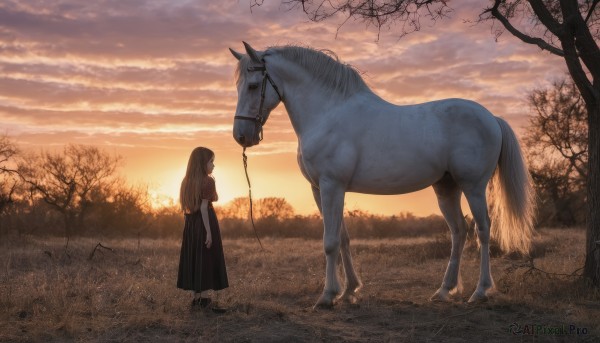 1girl,solo,long hair,skirt,brown hair,shirt,dress,standing,short sleeves,outdoors,sky,cloud,black skirt,black dress,from side,tree,animal,cloudy sky,grass,nature,scenery,sunset,long skirt,leash,horse,bare tree,twilight,blonde hair,shoes,sunlight,field,wide shot