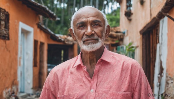 solo,looking at viewer,shirt,1boy,closed mouth,upper body,white hair,grey hair,male focus,collared shirt,indoors,blurry,buttons,depth of field,blurry background,facial hair,beard,pocket,pink shirt,realistic,mustache,breast pocket,manly,old,old man,photo background,wrinkled skin,smile,outdoors,day,lips,dress shirt,building,bald