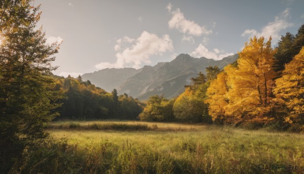 Image of a landscape in a peaceful day