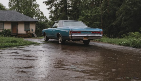 outdoors,day,tree,no humans,grass,ground vehicle,building,nature,scenery,motor vehicle,forest,car,road,bush,house,vehicle focus,wheel,sky,window,shadow