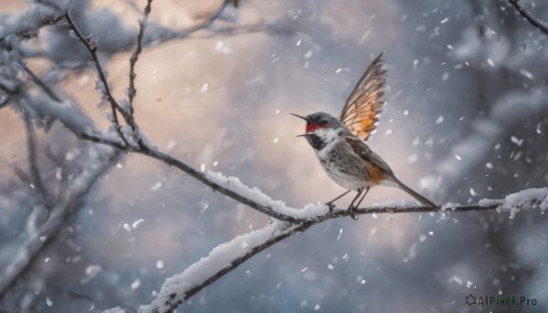 outdoors, tree, no humans, bird, animal, snow, snowing, branch, animal focus, bare tree, sparrow