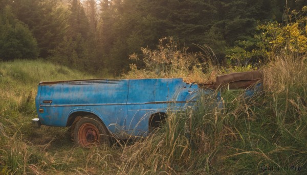 flower,outdoors,day,tree,no humans,traditional media,sunlight,grass,plant,ground vehicle,nature,scenery,motor vehicle,forest,car,road,vehicle focus,sports car