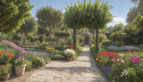 A garden captured beautifully in a inviting day