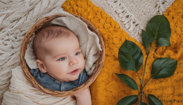 1girl,solo,short hair,blue eyes,brown hair,closed mouth,lips,leaf,from above,plant,child,realistic,basket,baby,1boy,male focus