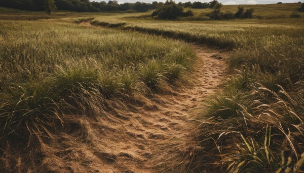 outdoors,sky,day,signature,water,tree,no humans,traditional media,grass,plant,nature,scenery,forest,field,river,landscape,realistic