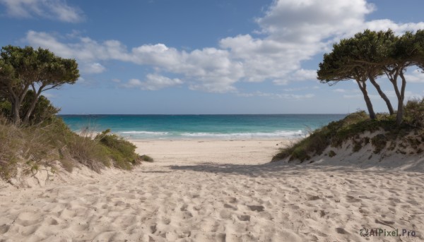 outdoors,sky,day,cloud,water,tree,blue sky,no humans,ocean,beach,cloudy sky,grass,nature,scenery,rock,sand,palm tree,horizon,shore,plant