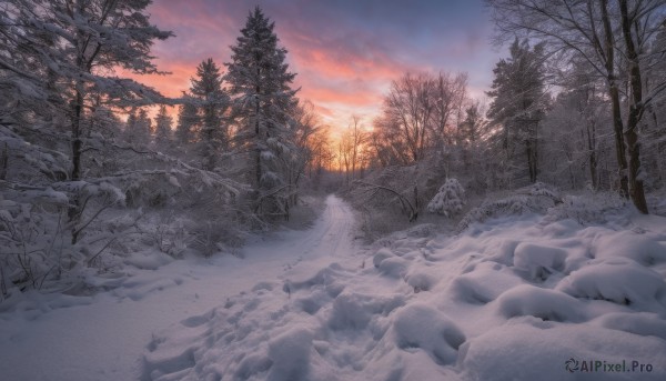 outdoors,sky,cloud,tree,no humans,cloudy sky,nature,scenery,snow,forest,sunset,mountain,winter,bare tree,landscape,orange sky,footprints,ice,gradient sky,pine tree