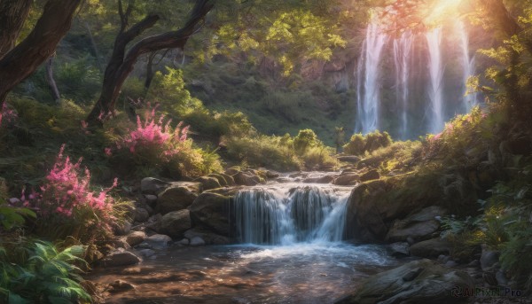 flower, outdoors, day, water, tree, no humans, watermark, sunlight, plant, nature, scenery, forest, light rays, rock, river, waterfall