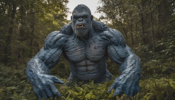 solo,looking at viewer,open mouth,1boy,male focus,outdoors,teeth,tree,no humans,blood,muscular,glowing,colored skin,facial hair,fangs,abs,sharp teeth,muscular male,nature,glowing eyes,beard,forest,monster,realistic,blue skin,giant,grey skin,day