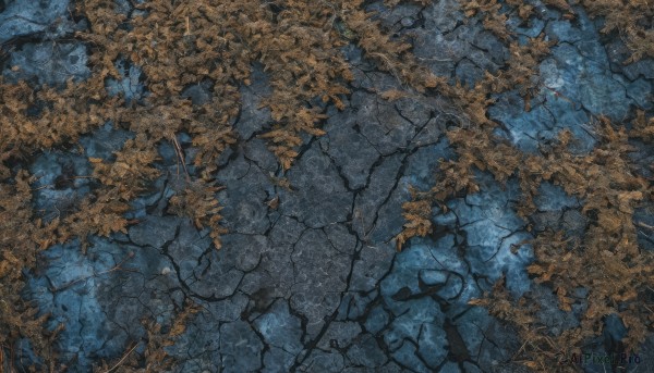 A inspiring unique subject within outdoors