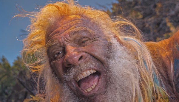 solo,looking at viewer,open mouth,blue eyes,blonde hair,1boy,male focus,outdoors,sky,teeth,day,blurry,tree,blue sky,blurry background,facial hair,portrait,beard,realistic,old,long hair,smile,tongue,parody,messy hair