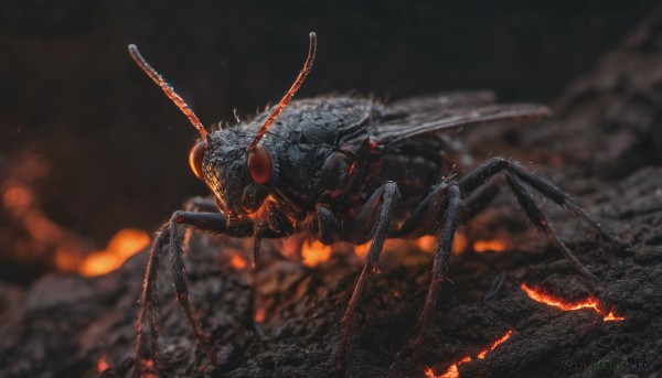 A glimpse of a monster in a picturesque fiery dynamic scene