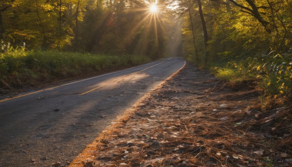 outdoors,day,tree,no humans,leaf,sunlight,grass,nature,scenery,forest,light rays,road,autumn leaves,sunbeam,path,plant,bush,dappled sunlight