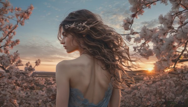 1girl,solo,long hair,brown hair,black hair,hair ornament,dress,bare shoulders,brown eyes,upper body,flower,outdoors,parted lips,sky,pointy ears,cloud,from behind,tree,lips,profile,blue dress,back,wavy hair,looking away,sunlight,cherry blossoms,wind,scenery,sunset,backless outfit,realistic,nose,branch,bare back,looking afar,shoulder blades,blue sky,leaf,tiara,curly hair,horizon,sunrise