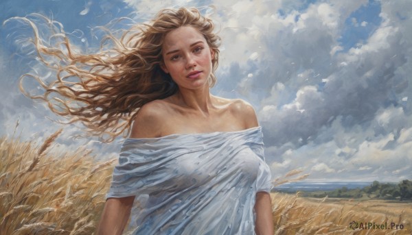 1girl,solo,long hair,breasts,looking at viewer,blue eyes,brown hair,shirt,dress,bare shoulders,brown eyes,medium breasts,collarbone,upper body,outdoors,sky,day,cloud,off shoulder,white dress,blue sky,lips,floating hair,ocean,cloudy sky,wind,realistic,nose,field,blonde hair,parted lips,wheat