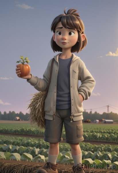 1girl,solo,blush,smile,short hair,brown hair,shirt,long sleeves,holding,brown eyes,closed mouth,standing,jacket,full body,flower,outdoors,food,open clothes,sky,shoes,shorts,socks,cloud,bag,black eyes,black shirt,fruit,brown footwear,thick eyebrows,holding food,blue shirt,white socks,ground vehicle,sneakers,child,motor vehicle,freckles,hand in pocket,grey jacket,female child,field,holding fruit,power lines,truck,bangs,day,artist name,hood,lips,leaf,black shorts,grass,brown shorts,vegetable,wheat