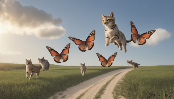 closed eyes,outdoors,sky,day,cloud,blue sky,no humans,animal,cat,grass,bug,butterfly,scenery,flying,walking,running,road,animal focus,field