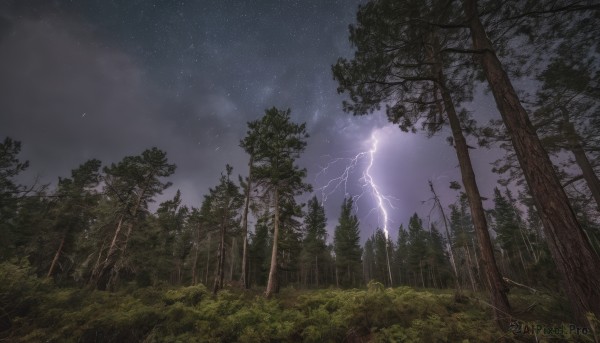A unique view of a lightning in outdoors