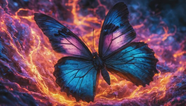 A butterfly amidst a calm cloud
