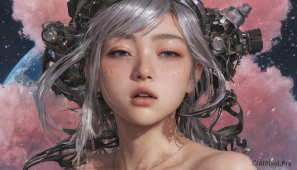 A dynamic view of a female in cherry blossoms