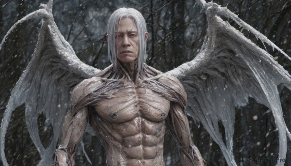 solo,looking at viewer,1boy,closed mouth,upper body,white hair,male focus,outdoors,wings,tree,muscular,scar,abs,pectorals,muscular male,nature,snow,forest,demon wings,veins,snowing,realistic,white eyes,bare tree,long hair,red eyes,navel,nipples,nude,feathered wings,topless male,angel wings,angel,manly,veiny arms