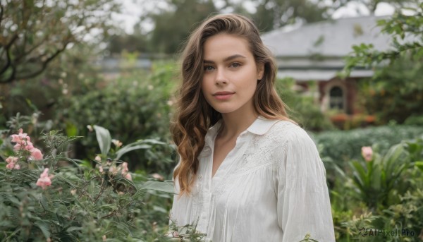 1girl,solo,long hair,looking at viewer,smile,blue eyes,brown hair,shirt,brown eyes,white shirt,upper body,flower,outdoors,parted lips,day,collared shirt,blurry,tree,lips,depth of field,blurry background,plant,pink flower,freckles,realistic,garden,leaf,photo background