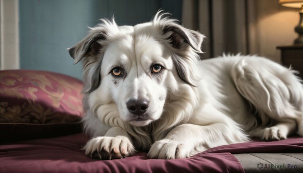 A dog in a serene dynamic scene