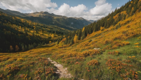 The beauty of a landscape set in a captivating day