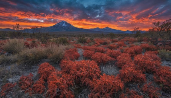 A landscape portrayed in a vivid sunset outdoors