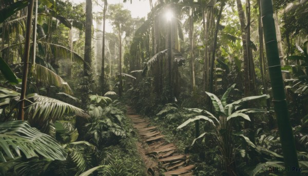 outdoors,day,tree,dutch angle,no humans,leaf,sunlight,grass,plant,nature,scenery,forest,light rays,sunbeam,bamboo,ruins,bamboo forest,moss,overgrown,stairs