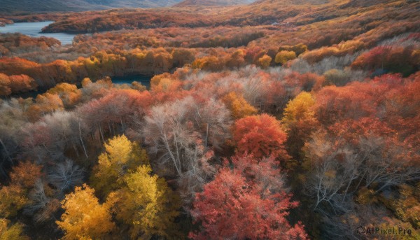 The elegance of a landscape in a tranquil day