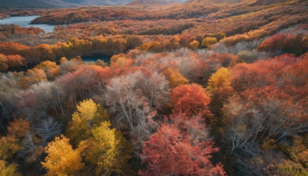 outdoors, sky, day, cloud, tree, blue sky, no humans, nature, scenery, forest, mountain, autumn leaves, autumn, landscape