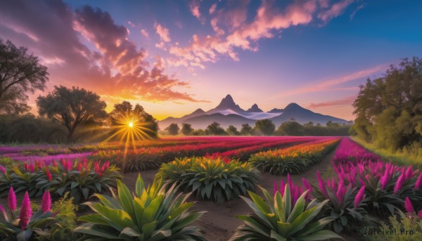The elegance of a unique subject in a tranquil sunset outdoors