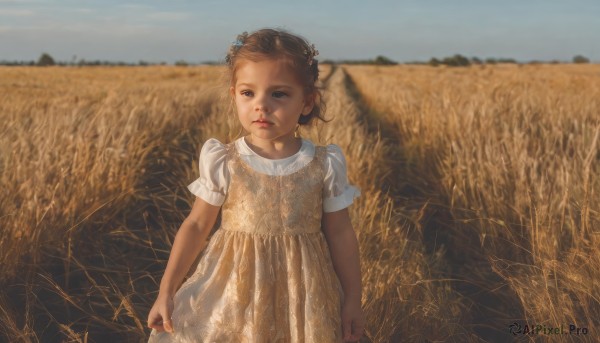 1girl,solo,looking at viewer,short hair,brown hair,hair ornament,dress,brown eyes,standing,flower,short sleeves,outdoors,parted lips,sky,day,white dress,blurry,lips,blurry background,child,realistic,skirt hold,female child,field,blue sky,looking to the side,looking away