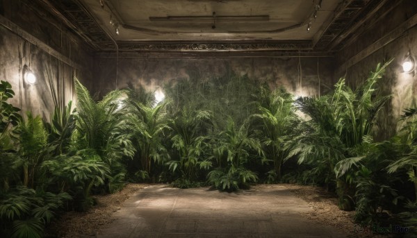 A breathtaking sunlight featuring a indoors