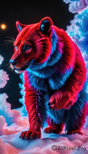 solo,blue eyes,standing,full body,sky,cloud,no humans,night,animal,fangs,moon,cat,cloudy sky,night sky,claws,realistic,animal focus,whiskers,tiger,looking at viewer,outdoors,full moon,sun