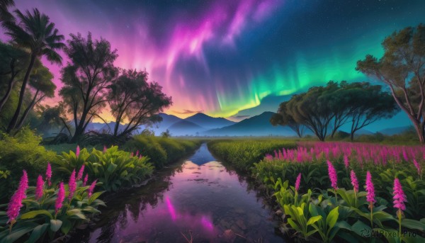 A captivating landscape within sunset outdoors