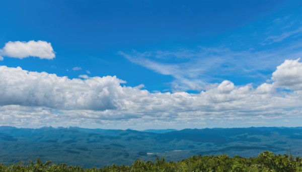 flower,outdoors,sky,day,cloud,tree,blue sky,no humans,cloudy sky,grass,nature,scenery,forest,mountain,sunflower,field,summer,landscape,mountainous horizon,hill,signature,horizon