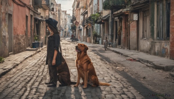The charm of a dog in a bold day