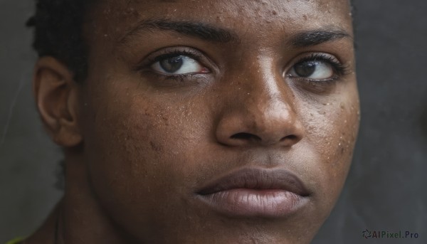 solo,looking at viewer,short hair,black hair,1boy,brown eyes,closed mouth,male focus,parted lips,dark skin,black eyes,lips,dark-skinned male,thick eyebrows,portrait,close-up,freckles,reflection,realistic,nose,sweat,teeth,grey background