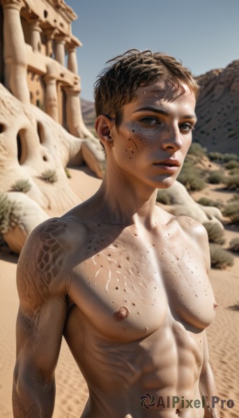 1girl,solo,breasts,looking at viewer,short hair,brown hair,black hair,navel,brown eyes,jewelry,medium breasts,nipples,upper body,nude,earrings,outdoors,parted lips,day,dark skin,dark-skinned female,lips,tattoo,muscular,piercing,abs,freckles,toned,realistic,nose,sand,very short hair,dark nipples,desert,body freckles,1boy,closed mouth,collarbone,male focus,sky,blue sky,completely nude,pectorals,rock,undercut,ruins,dirty,statue,bodypaint,full-body tattoo