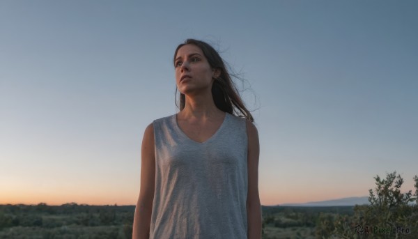 1girl,solo,long hair,brown hair,black hair,dress,upper body,outdoors,parted lips,sky,sleeveless,white dress,black eyes,tree,lips,looking away,looking up,wind,scenery,realistic,arms at sides,looking afar,brown eyes,blue sky,sunset,sunrise