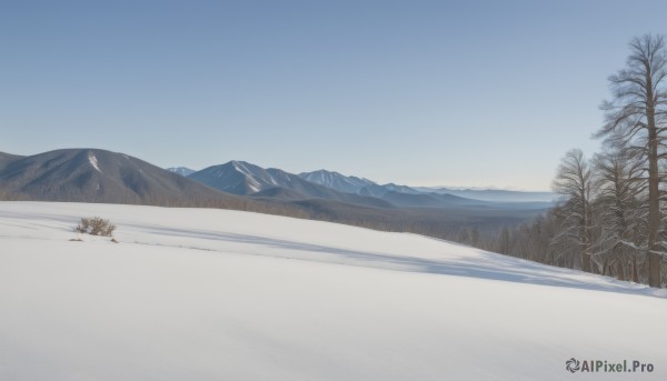 A landscape portrayed in a vivid snowy day
