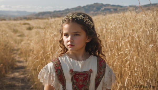 1girl,solo,long hair,blue eyes,brown hair,hair ornament,dress,closed mouth,white shirt,upper body,flower,short sleeves,outdoors,sky,day,white dress,blurry,lips,looking to the side,depth of field,blurry background,looking away,scenery,realistic,nose,head wreath,field,brown eyes,parted lips,blue sky,sunlight,lace