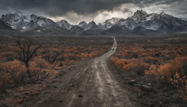 A landscape surrounded by a lush snowy day